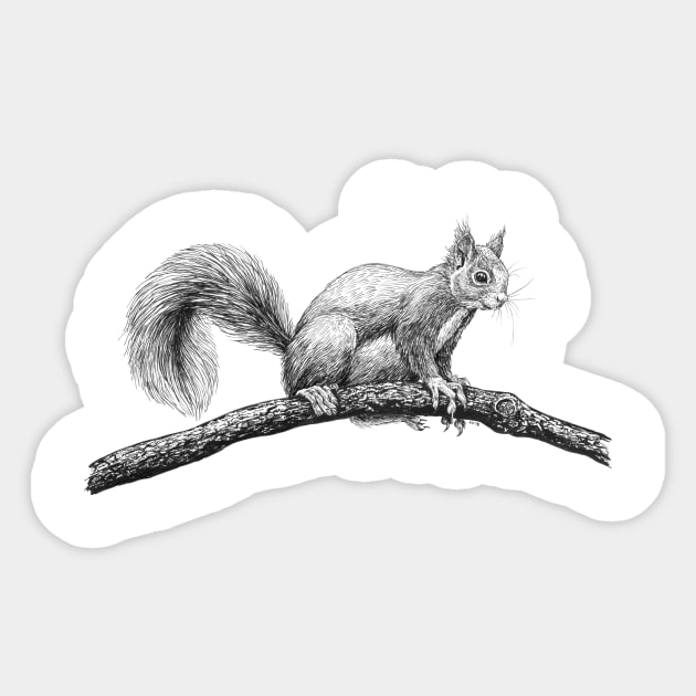 Squirrel drawing Sticker by katerinamk